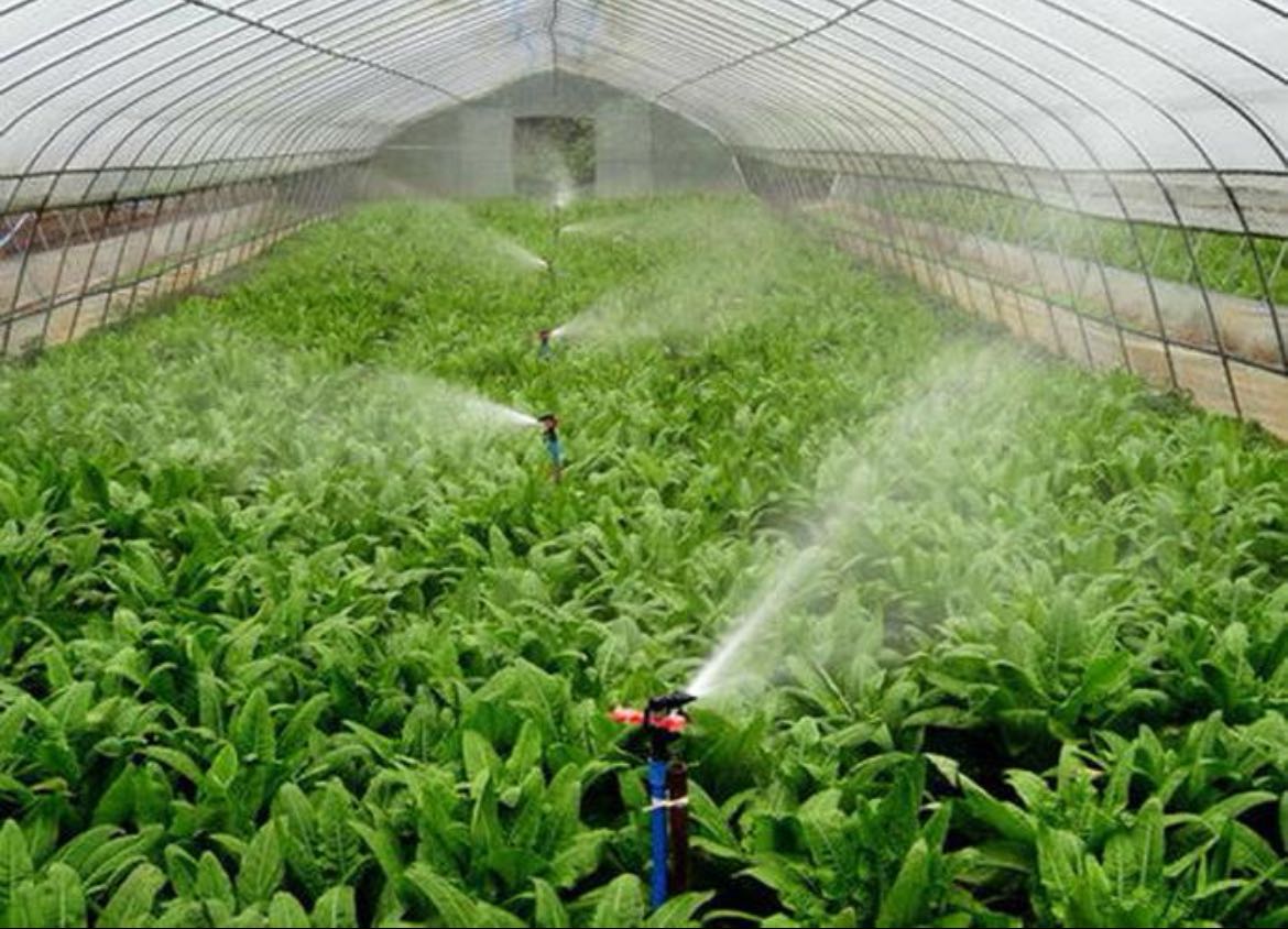 Agricultural Irrigation Agricultural Irrigation